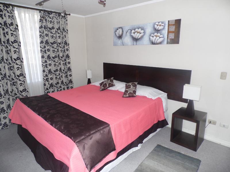 Santiago Apartamentos Centro מראה חיצוני תמונה